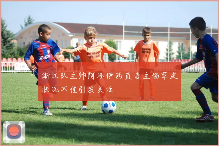 浙江队主帅阿洛伊西直言主场草皮状况不佳引发关注